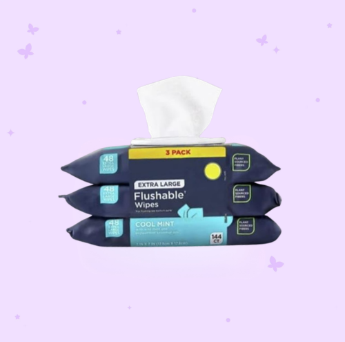 Flushable Wipes - 3 Pack, 144 Wipes - Cool Mint Extra-Large Adult Wet Wipes - Mentha Arvensis Leaf, Mentha Piperita, Oils - Septic and Sewer Safe